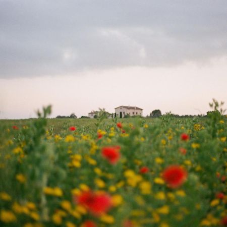 Tenuta La Castelluzza توسكانيا المظهر الخارجي الصورة