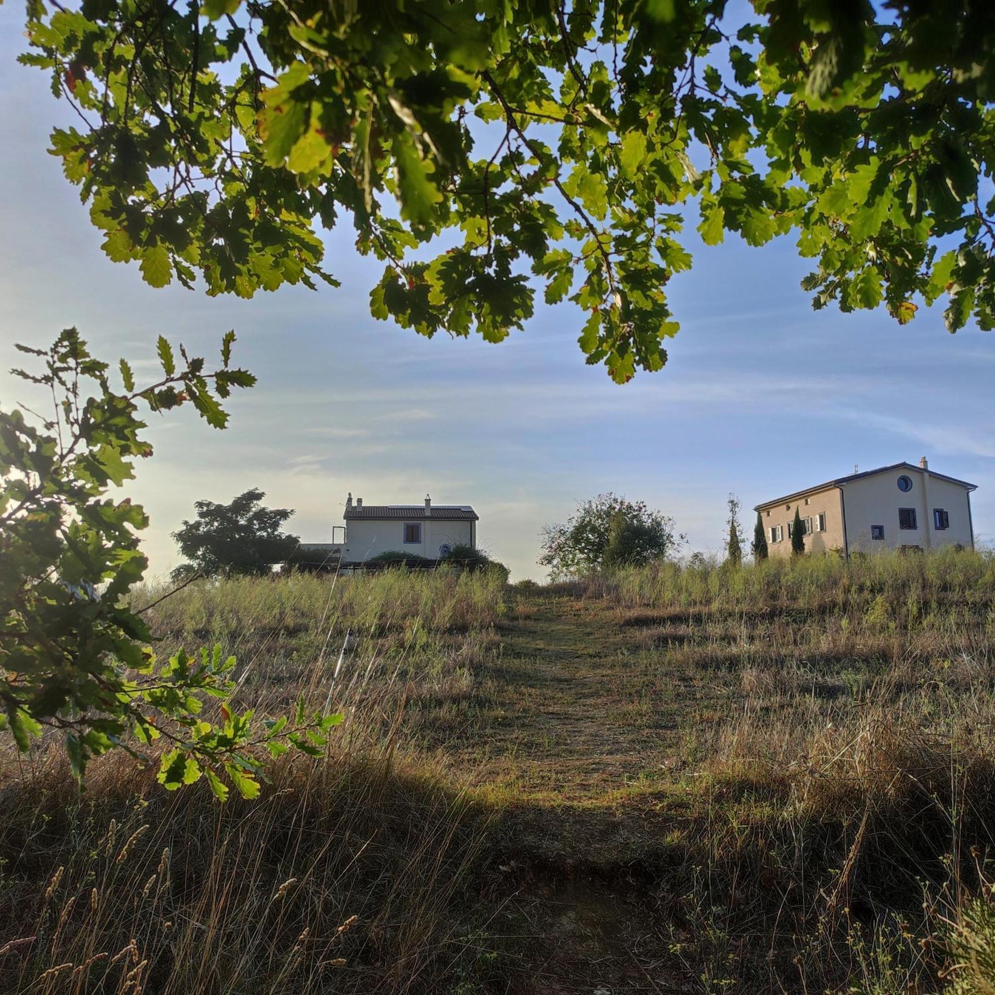 Tenuta La Castelluzza توسكانيا المظهر الخارجي الصورة